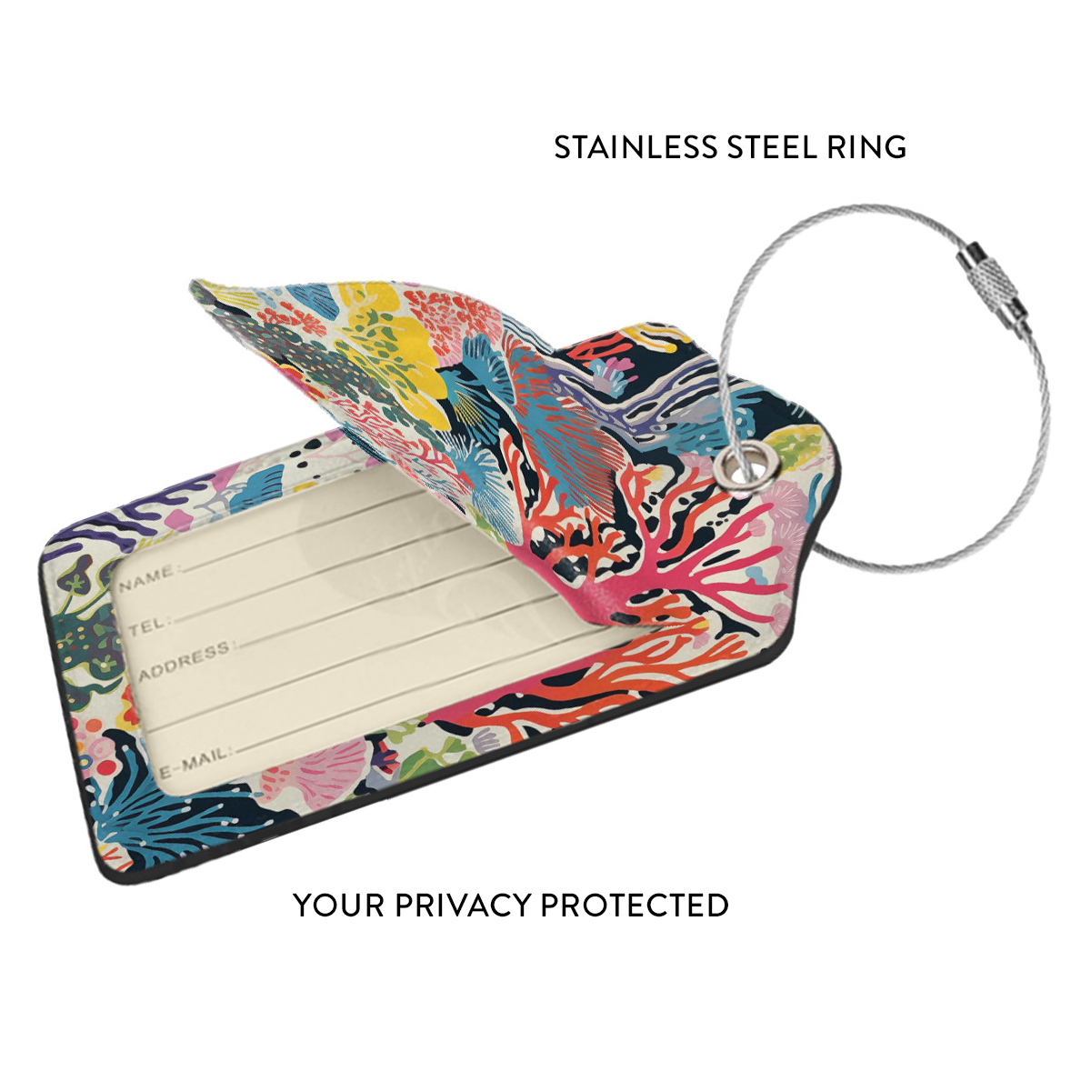 Let's Go Diving Bundle - Living Coral: Coral Symphony