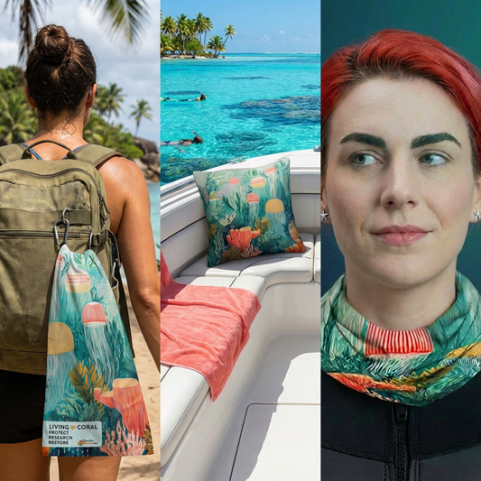 Surface Interval Bundle - Living Coral: Lagoon Dream