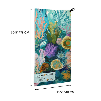 Surface Interval Bundle - Living Coral: Temperate Tide