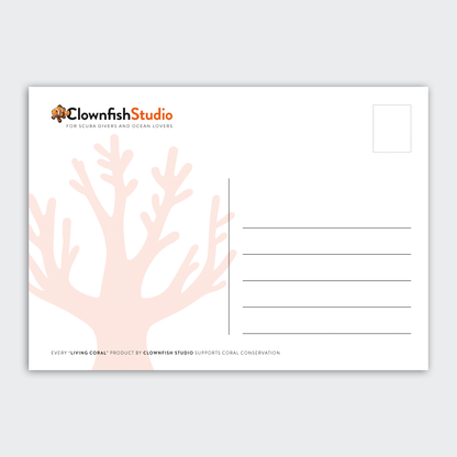 Postcard Set - 12x A6 - Living Coral