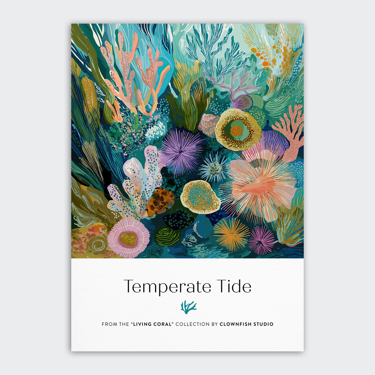 Postcard Set - 12x A6 - Living Coral