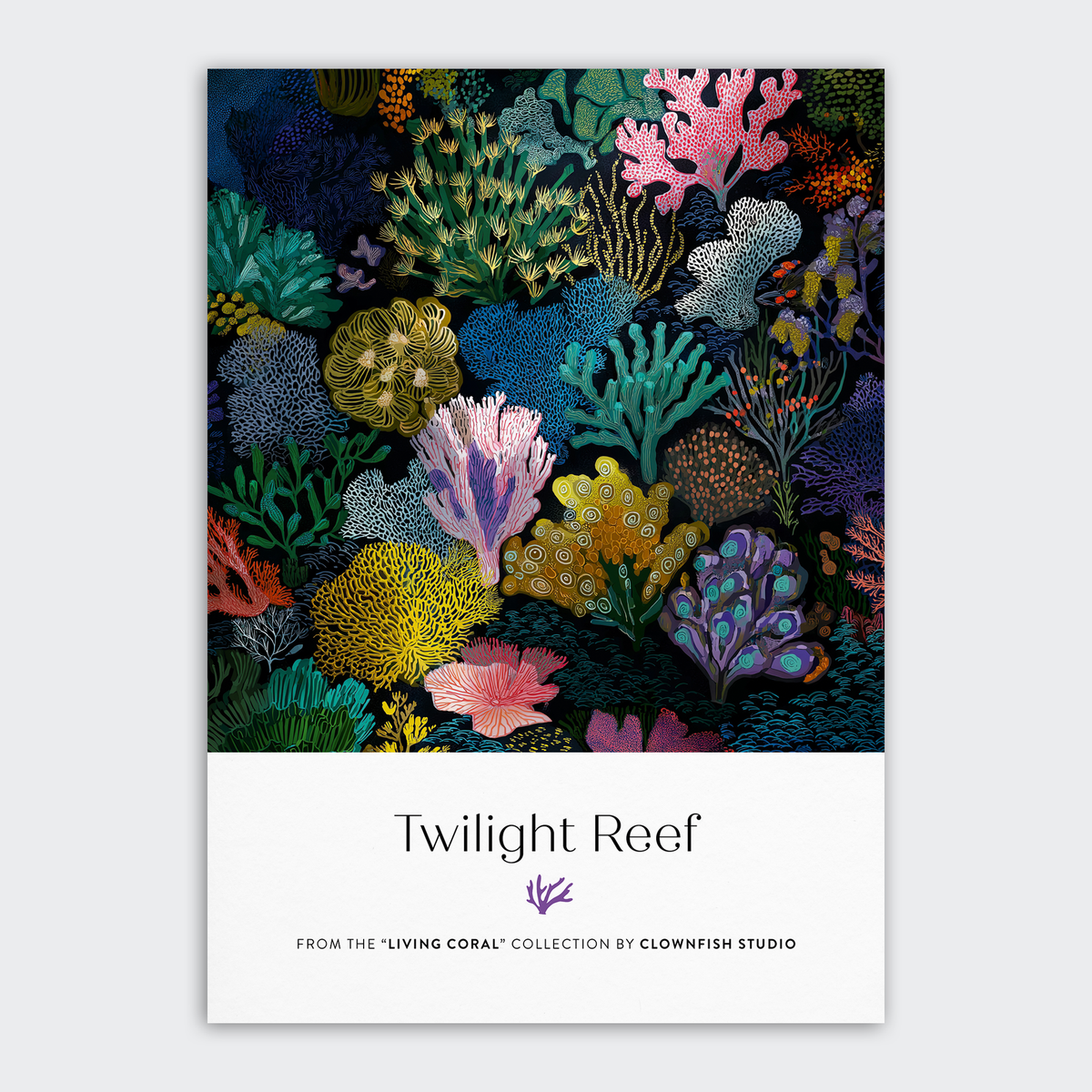 Postcard Set - 12x A6 - Living Coral