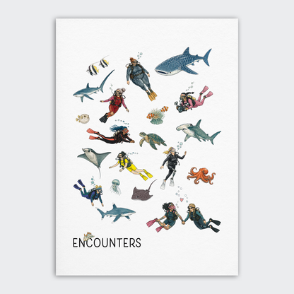 Postcard Set - 12x A6 - One Ocean
